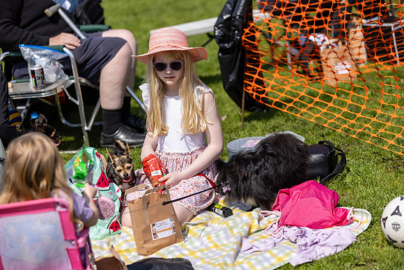 1402_HebdensHappyHounds2024_Cshaw-