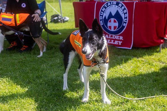 320_HebdensHappyHounds2024_Cshaw-