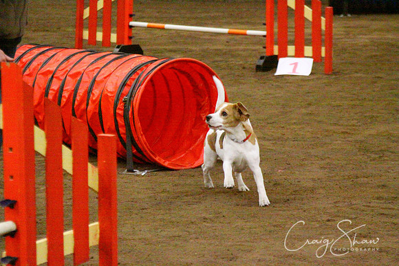 spring fling 2012-801