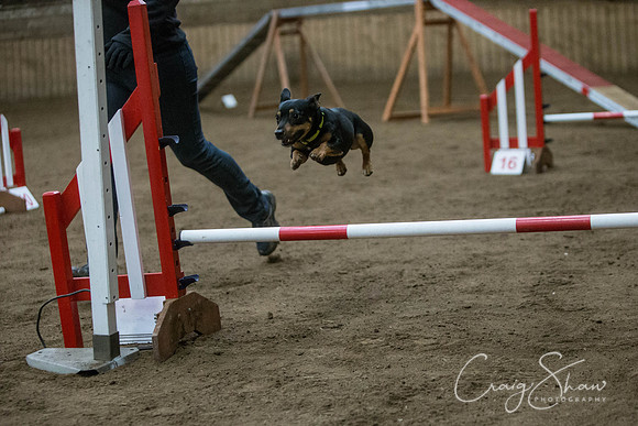1553_springfling2015_bluplanetphoto