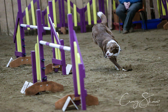 189_SpringFling2014_bluplanetphoto