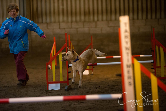139_springfling2015_bluplanetphoto