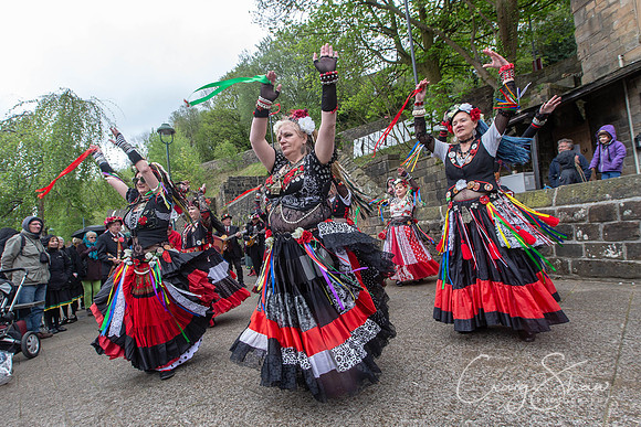 1748_TodFolkFest2019_craigshawphoto
