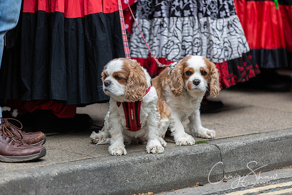 839_TodFolkFest2019_craigshawphoto