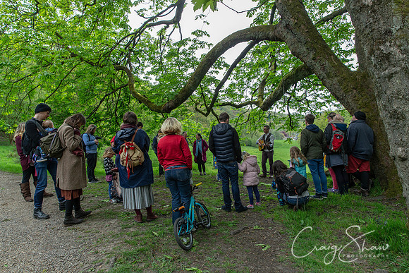 241_Sunday_TodFolkFest2019_craigshawphoto