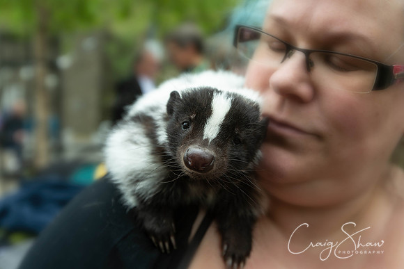 493_Sunday_TodFolkFest2019_craigshawphoto-Edit