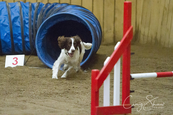 spring fling 2012-683