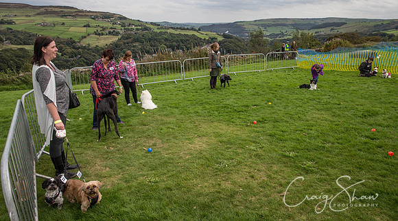 1743_Woofstock2016_craigshaw