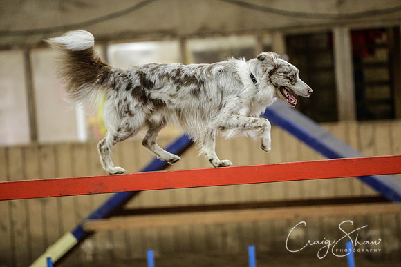 108_SpringFling2014_bluplanetphoto
