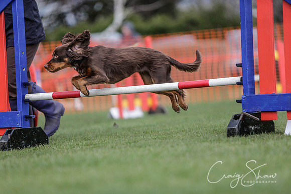 447__SpringersFunDay_March2014_bluplanetphoto