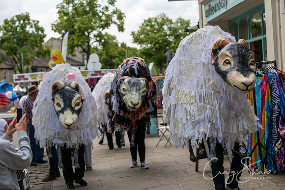 1105_SkiptonSheepDay2019_craigshawphoto