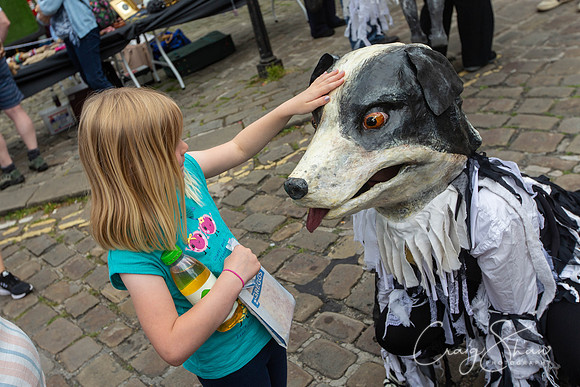 1612_SkiptonSheepDay2019_craigshawphoto