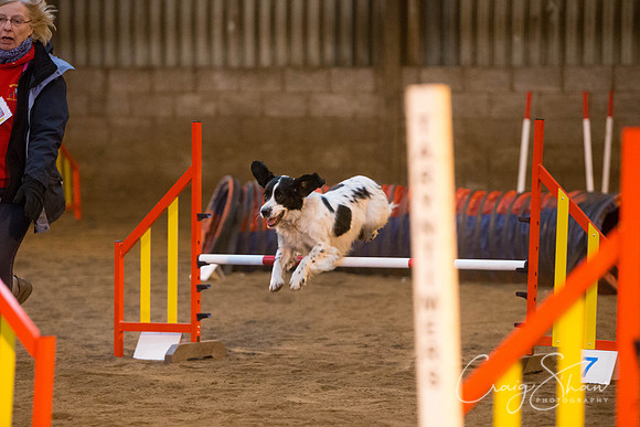 78_springfling2015_bluplanetphoto