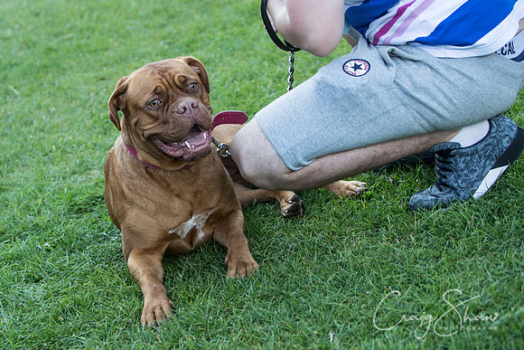 2223_K9Partyinthepark2014_RSPCAHalifax_bluplanetphoto
