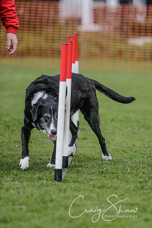 320__SpringersFunDay_March2014_bluplanetphoto