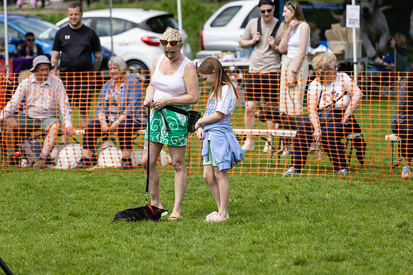 2383_HebdensHappyHounds2024_Cshaw-