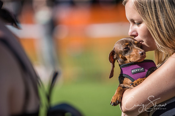 2327_K9Partyinthepark2014_RSPCAHalifax_bluplanetphoto