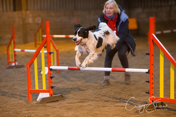 81_springfling2015_bluplanetphoto