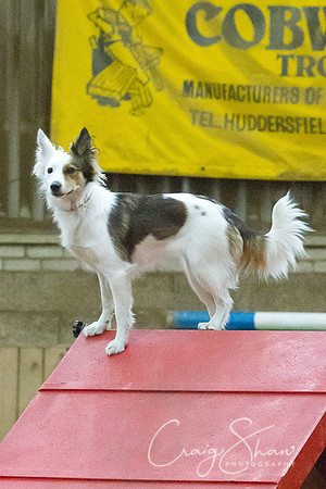 spring fling 2012-1492