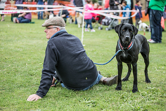 667_BarkintheParkHuddersfield_2014_bluplanetphoto