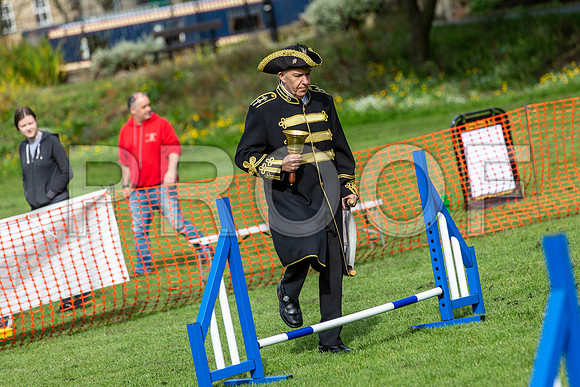 20_HebdensHappyHounds2019_craigshaw