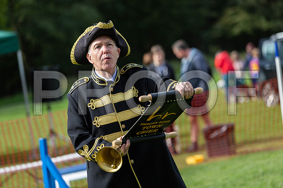 54_HebdensHappyHounds2019_craigshaw