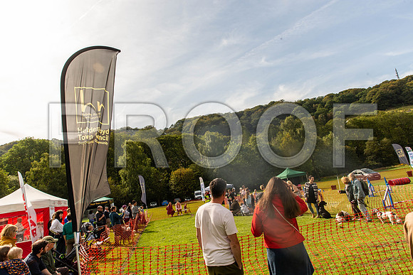 345_HebdensHappyHounds2019_craigshaw