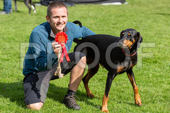 413_HebdensHappyHounds2019_craigshaw