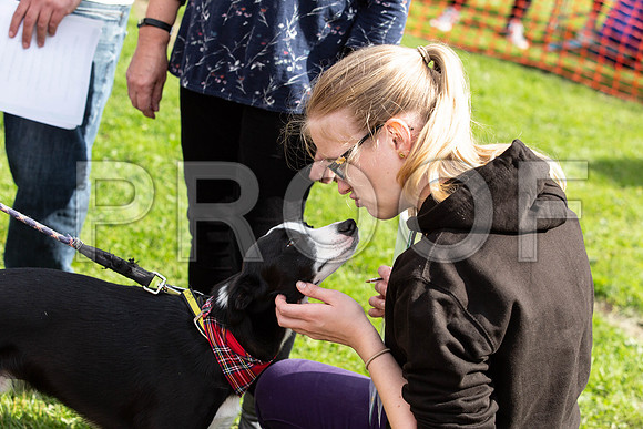 489_HebdensHappyHounds2019_craigshaw