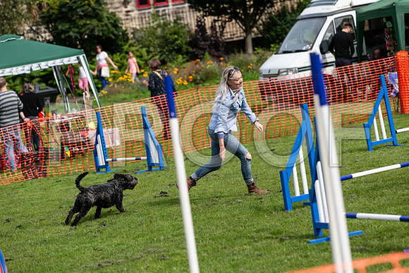 558_HebdensHappyHounds2019_craigshaw