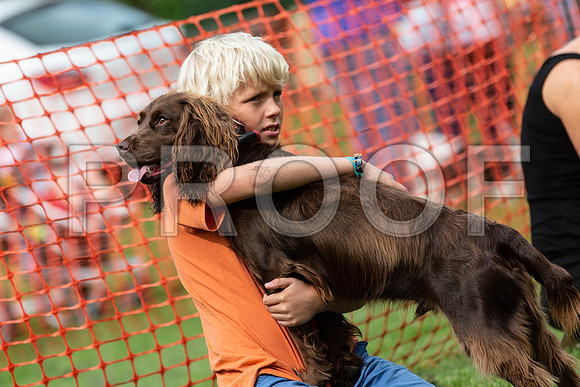 685_HebdensHappyHounds2019_craigshaw
