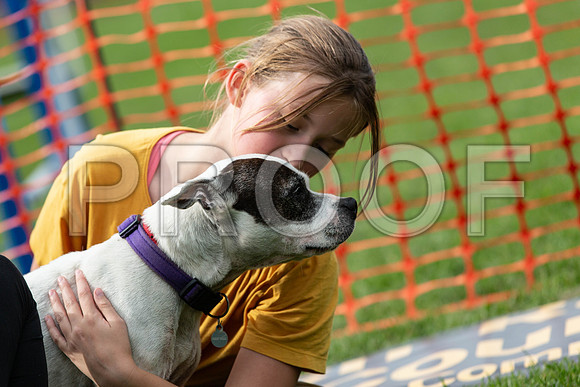 695_HebdensHappyHounds2019_craigshaw