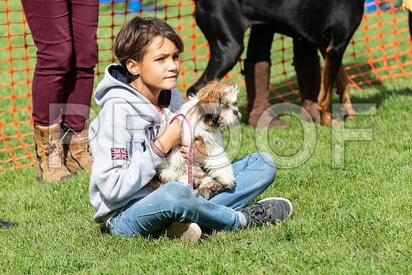 377_HebdensHappyHounds2019_craigshaw