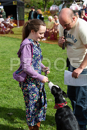 479_HebdensHappyHounds2019_craigshaw
