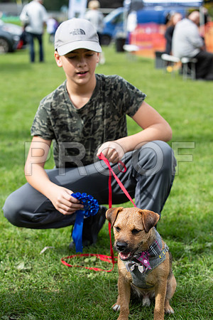 557_HebdensHappyHounds2019_craigshaw