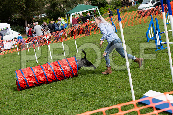 567_HebdensHappyHounds2019_craigshaw
