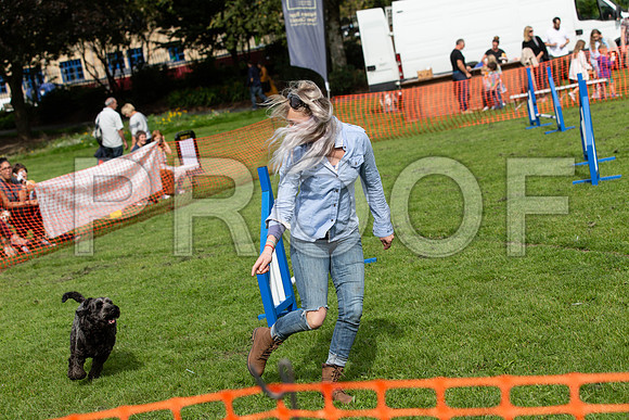 572_HebdensHappyHounds2019_craigshaw