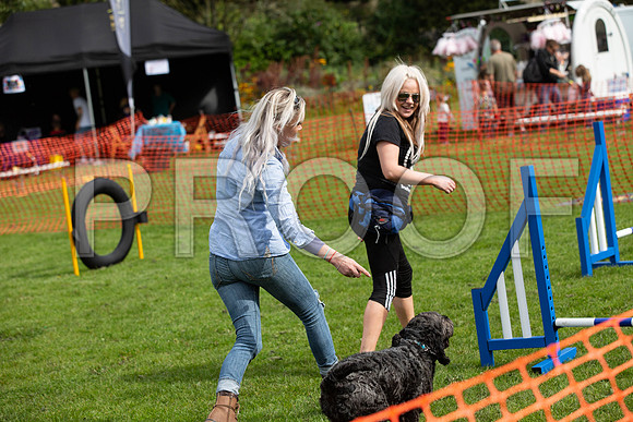 575_HebdensHappyHounds2019_craigshaw