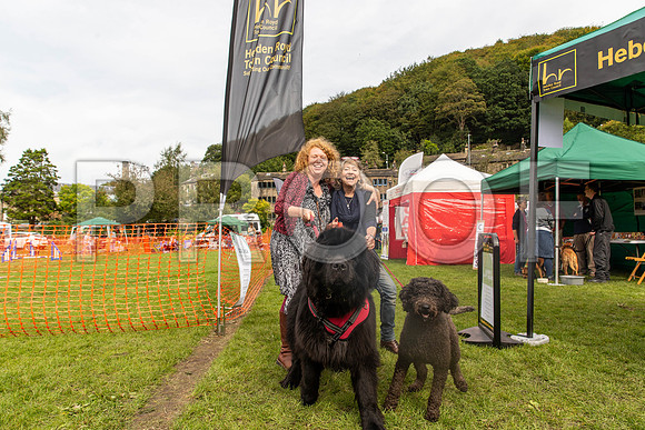 591_HebdensHappyHounds2019_craigshaw