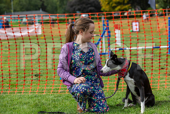 637_HebdensHappyHounds2019_craigshaw