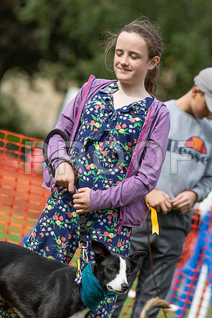 694_HebdensHappyHounds2019_craigshaw