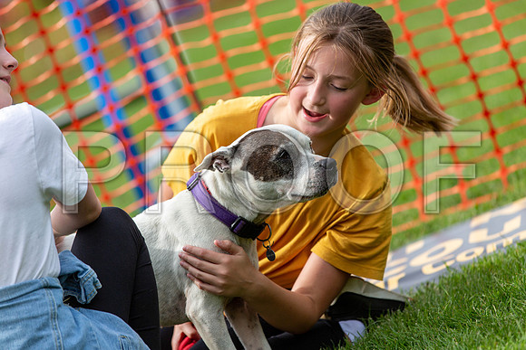 698_HebdensHappyHounds2019_craigshaw