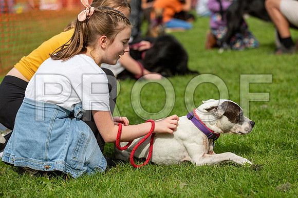 704_HebdensHappyHounds2019_craigshaw