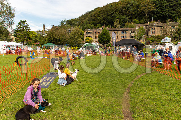 709_HebdensHappyHounds2019_craigshaw