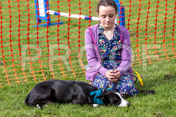 712_HebdensHappyHounds2019_craigshaw