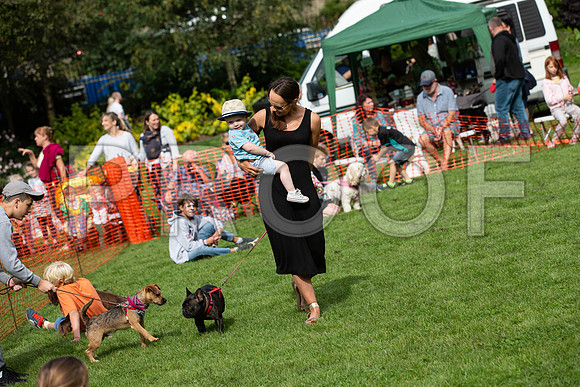 725_HebdensHappyHounds2019_craigshaw