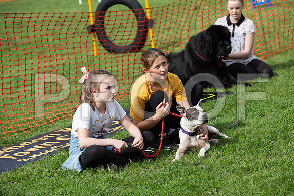 729_HebdensHappyHounds2019_craigshaw