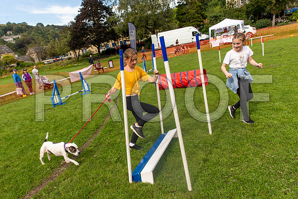 755_HebdensHappyHounds2019_craigshaw