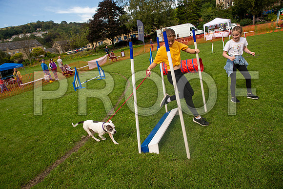 757_HebdensHappyHounds2019_craigshaw