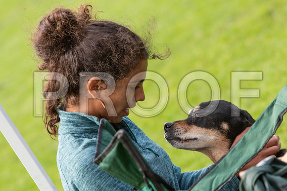 760_HebdensHappyHounds2019_craigshaw